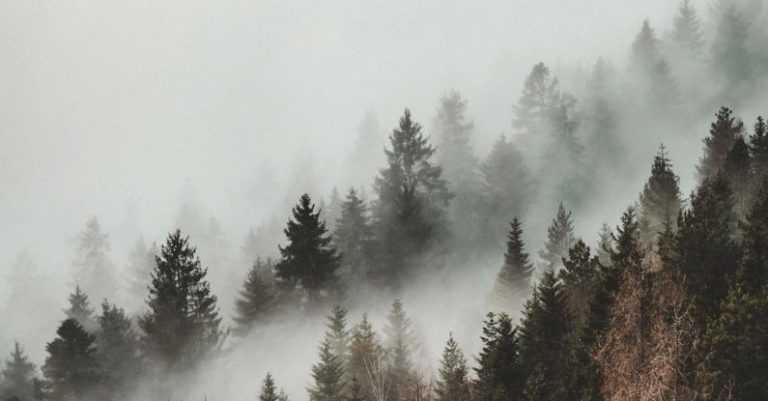 How to Create Evergreen Content That Lasts